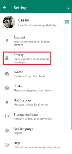 click on privacy