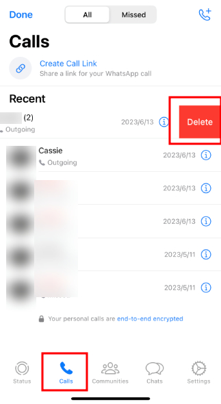 deleted WhatsApp call history on iPhone