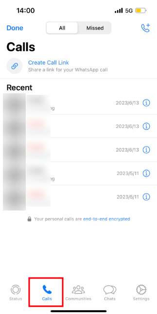 iPhone WhatsApp call log