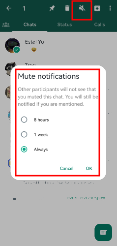how to mute someone on WhatsApp on Android phone
