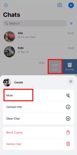 mute chat on WhatsApp iPhone