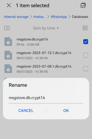 rename WhatsApp local backup file