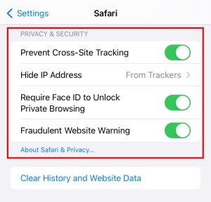 Safari privacy settings