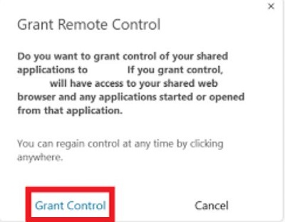 Webex Grant Control