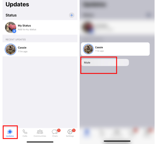 WhatsApp mute status on iPhone